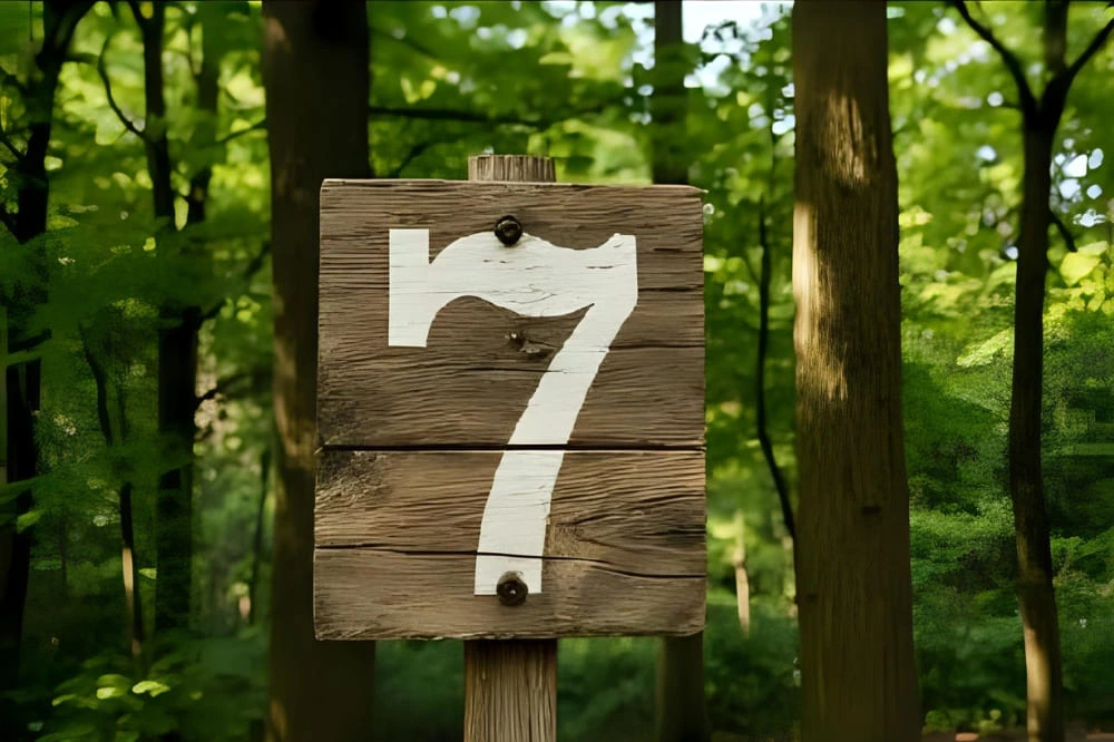 7 signesSetup-Andorra-7-signes-UNE-(2)